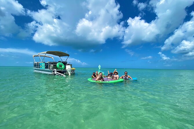 4 Hour Dolphin and Sandbar Cruise - Wildlife Sightings