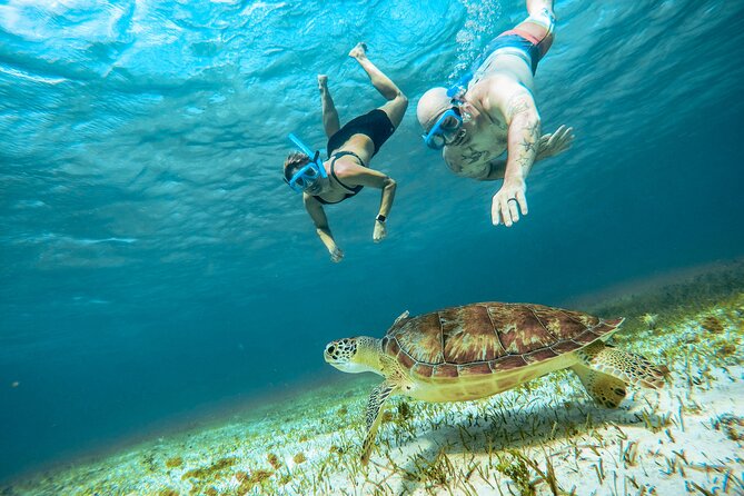 4 Hour Snorkeling Tour in Cozumel - Customer Feedback
