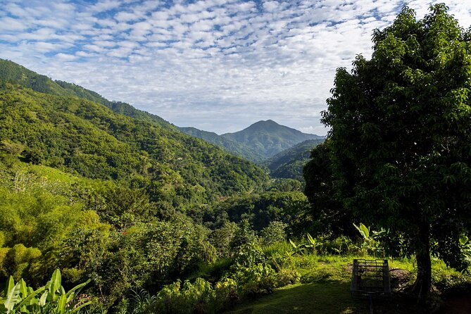 4-Hours Bike, Hike & Waterfall Tour in Blue Mountain With Lunch and Pick up - Health & Fitness Requirements