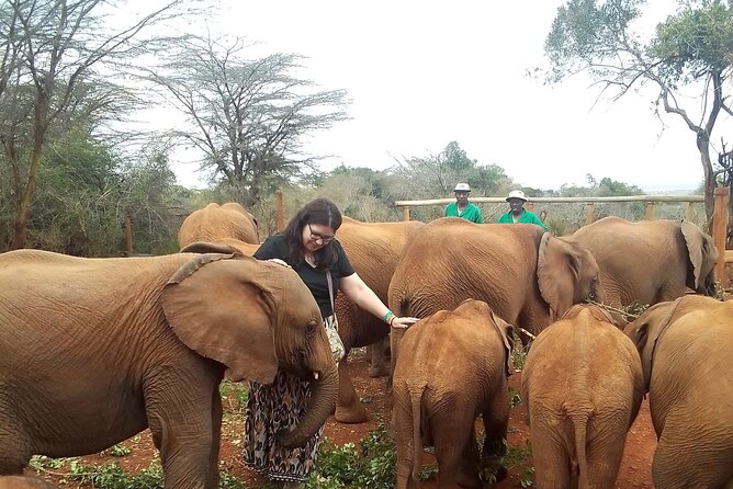 4 Hours Nairobi National Park - Tour Schedule