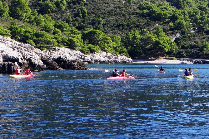 4 Hours Sea Kayaking From KomižA - What to Expect