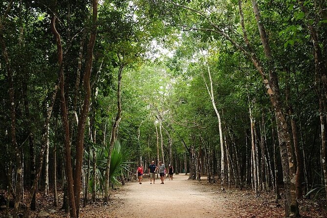 4 in 1: Mayan Tour to Coba, Tulum, Cenote, Shopping and Lunch From Cancun - Traveler Reviews and Feedback
