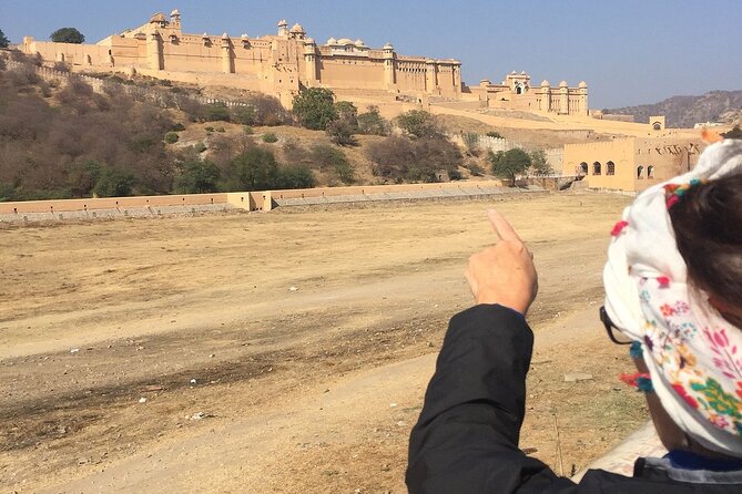 4 Night 5 Days Golden Triangle Tour From Delhi - Customer Reviews