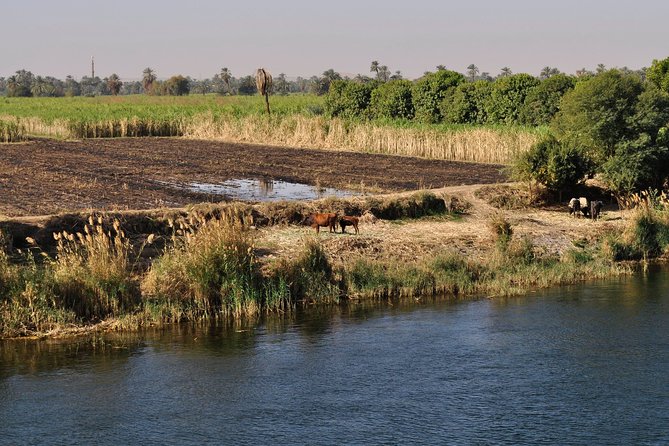 4 Nights Private Guided River Nile Cruise From Luxor to Aswan - Booking Details
