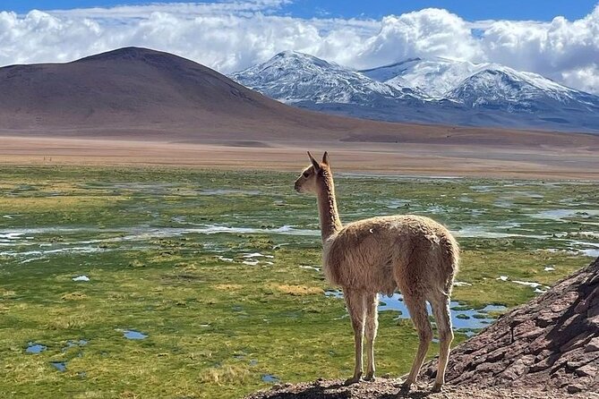 4 Tours in 2 Days, in San Pedro De Atacama - Tour Requirements
