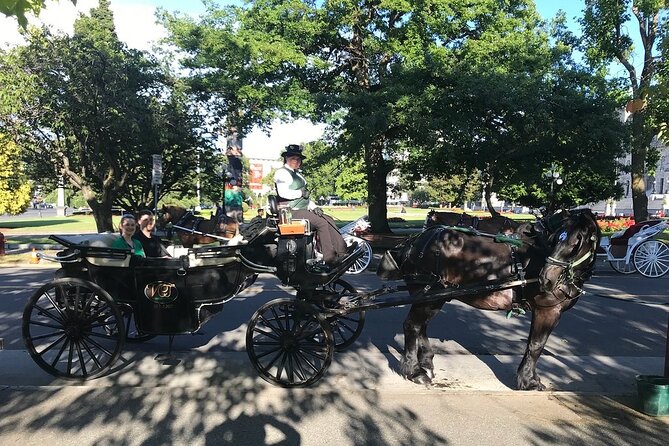 45-Minute By The Park Tour - Meeting Point
