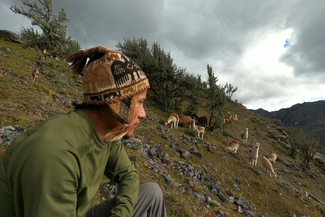 4D3N Llama Trek to Machu Picchu & Sacred Valley Journeys - Pricing and Availability