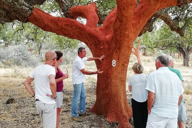 4x4 Cork Tour With Optional Lunch - Support and Resources