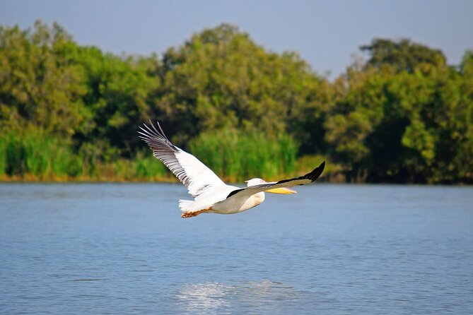 5 Day Addis,Bahir Dar,Gondar,Simien Mountains and Lalibela Tours - Meeting and Pickup Information
