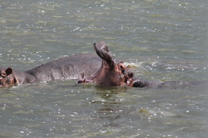 5-Day Big 5 Kidepo Valley National Park Safari - Frequently Asked Questions