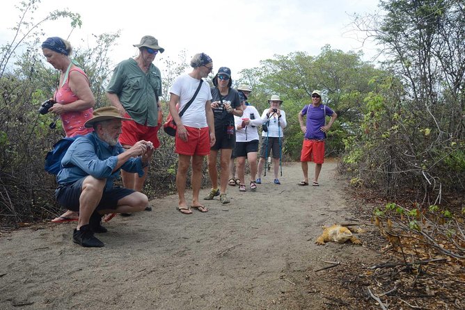 5-Day Galapagos Islands Plus Bike, Kayak, Hike, Snorkel - Customer Feedback