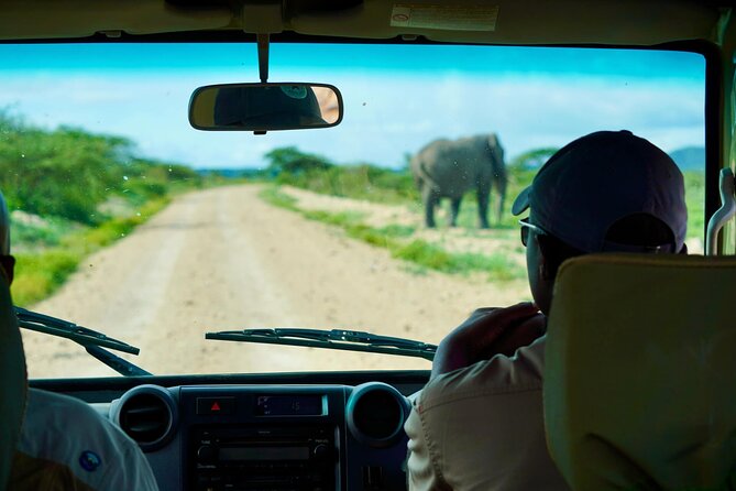 5-Day Mid-Range Safari in Tanzania - Transportation and Logistics