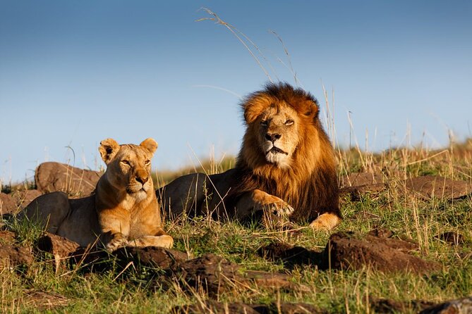 5 Day Private Guided Wildebeest Migration Tour - Expert Guide Services