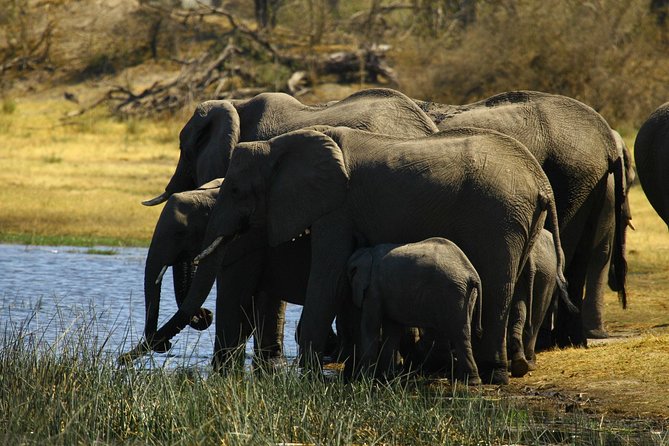 5 Day Victoria Falls and Hwange National Park Accommodated Safari Tour - Booking and Cancellation