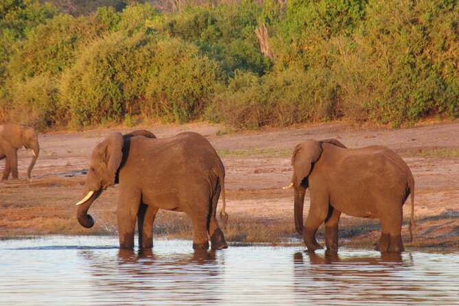 5-Day Victoria Falls and Hwange National Park Tour From Victoria Falls - Frequently Asked Questions