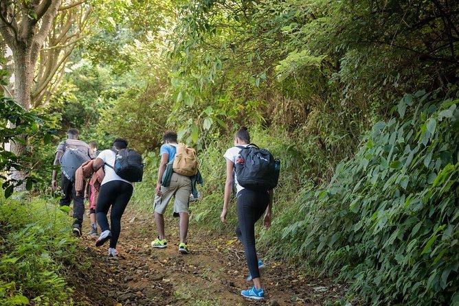 5 Days, 4 Nights Backpacking Kingston Jamaica - Accommodation Choices