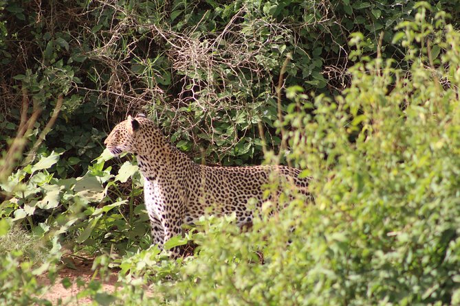 5 Days Best Of Kenya Safari - Booking Process