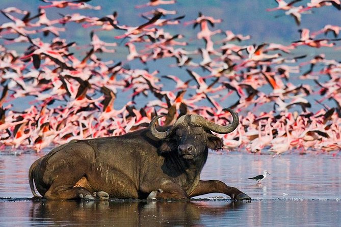 5 Days Hells Gate, L. Naivasha, L. Nakuru & Masai Mara Luxury Safari - Itinerary Overview