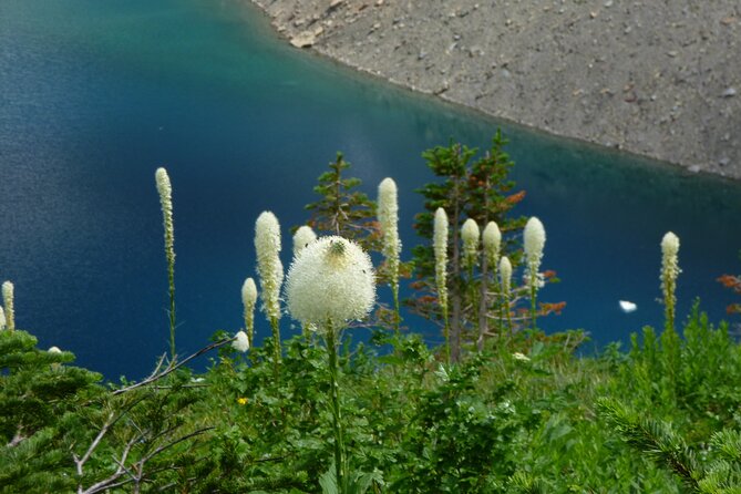 5 Days Hiking Trip in Waterton - Trip Highlights