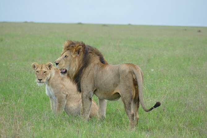 5 Days in to the Heart of Serengeti - Transportation Details