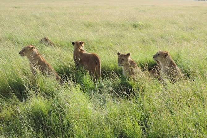 5 Days Masai Mara-Lake Nakuru & Lake Naivasha Hells Gate Safari - Accommodation and Meals