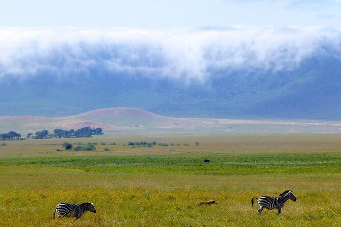 5 Days Northern Tanzania Safari- Lodging - Alcoholic Drinks and Purchases