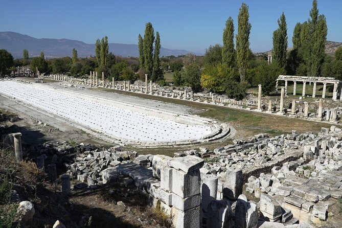 5 Days Private Tour of Western Turkey (Troy-Pergamon-Ephesus-Didyma-Pamukkale) - Customer Feedback