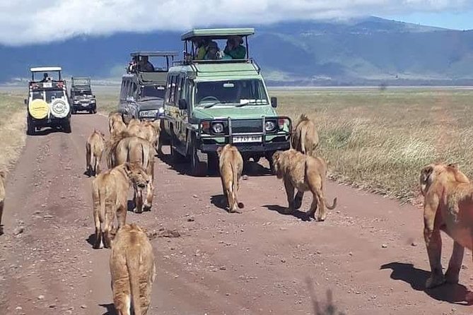 5 Days Safari Itinerary, Delight With Camping Game Drives in 3 National Parks - Wildlife Encounters