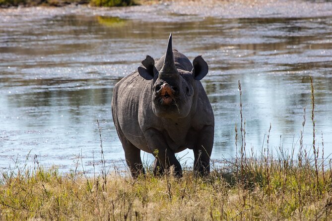 5 Days Safari Northern Circuit Of Tanzania - Accommodation and Meals