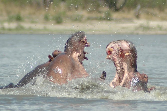 5 Days Safari to Selous & Mikumi - Transportation and Logistics