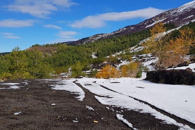 5-Hour Mount Etna Mountain Biking Tour - Customer Reviews