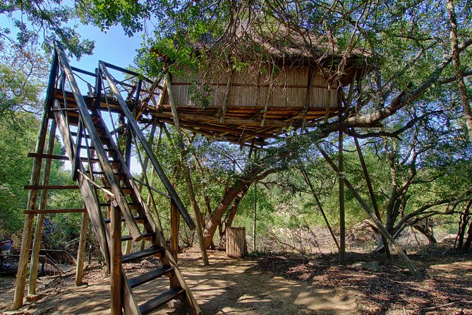 6 Day Lodge and Treehouse Kruger National Park Safari - Accommodations and Amenities