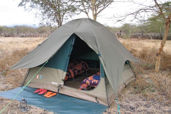 6-Day Tanzania Camping Safari: Lake Manyara, Serengeti, Ngorongoro Cater and Tarangire National Park From Arusha - Wildlife Viewing Opportunities