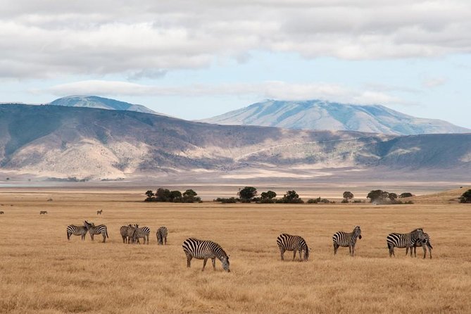 6 Days Budget Tanzania Camping Safari - Packing and Preparation