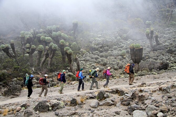 6 Days: Hiking Kilimanjaro via Machame Route - Meeting and Pickup Details