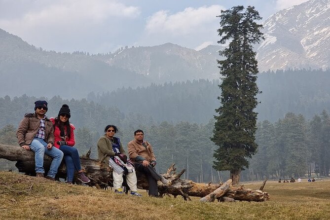 6 Days Private Tour in Kashmir - Meeting and Pickup Information