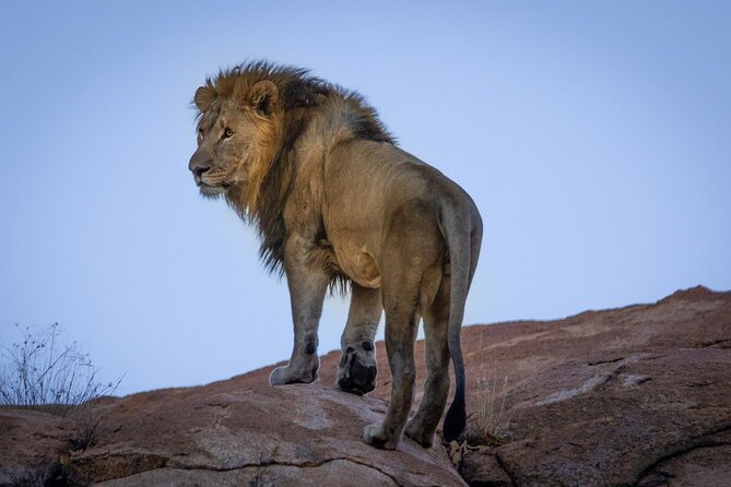 6 Days Safari : Manyara, Ngorongoro, Serengeti & Tarangire National Park - Health and Accessibility Considerations