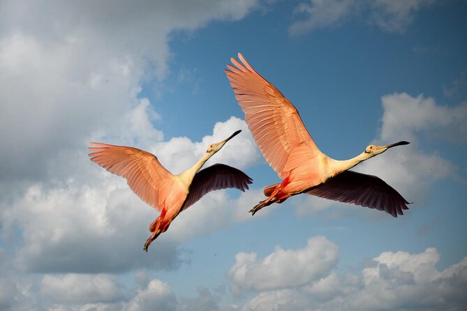 6 Days Tanzania Northern Circuit Safari - Tour Overview and Price
