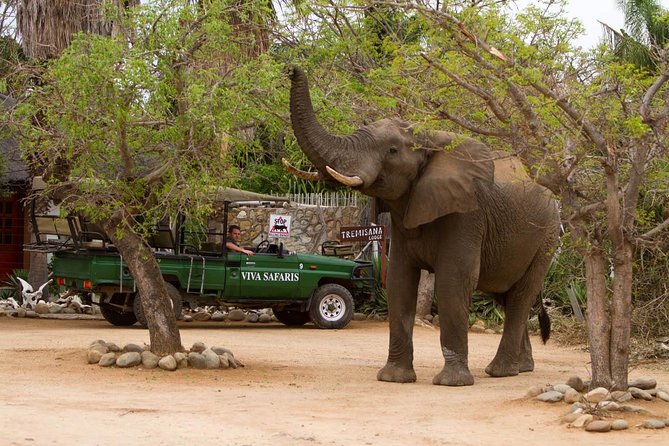 7 Day Classic Kruger National Park Safari - Dining Experiences on Safari