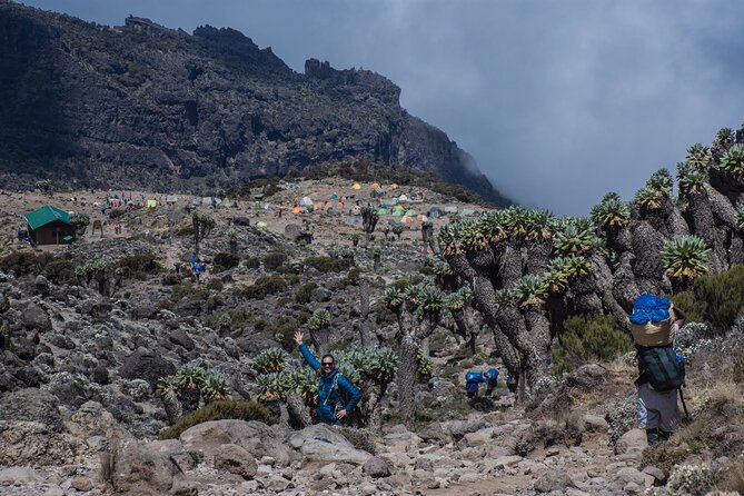 7 Day Kilimanjaro Machame Climb - Health and Safety Considerations