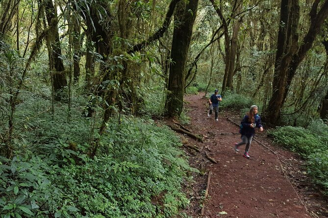 7-Day Mountain Climbing in Machame Route - Packing and Gear Recommendations