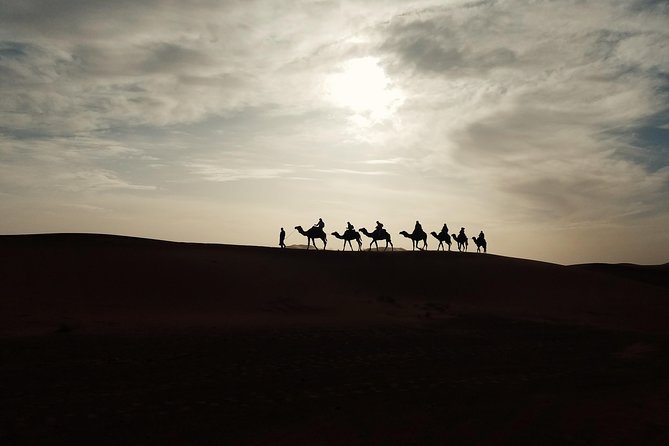 7-Day Private Authentic Tour of Morocco From Fez - Experiencing Marrakechs Vibrant Medina
