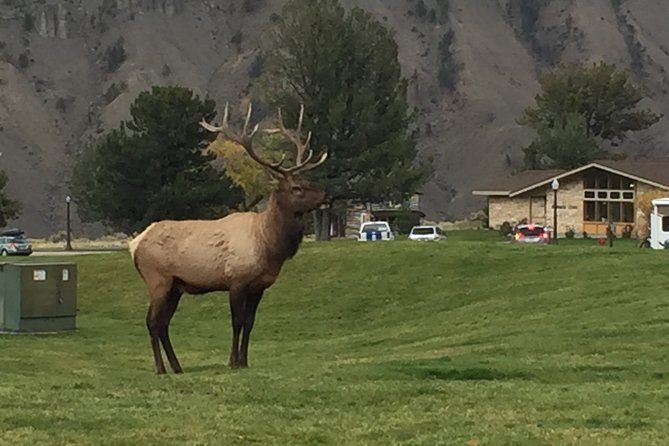 7-Day Private Bryce, Yellowstone, Grand Tetons Tour From Vegas - Booking Information