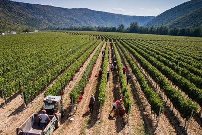 7-Day Wine Tour and Horseback Riding for Small Group in Bosnia - Required Skills and Fitness