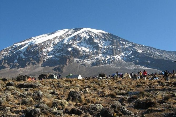 7 Days Kilimanjaro Climb Machame Route - Reviews and Testimonials