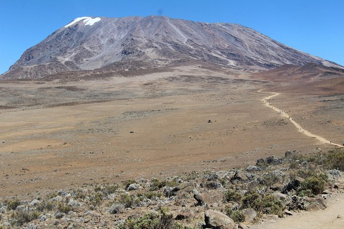 7 Days Lemosho Route - Pricing Information
