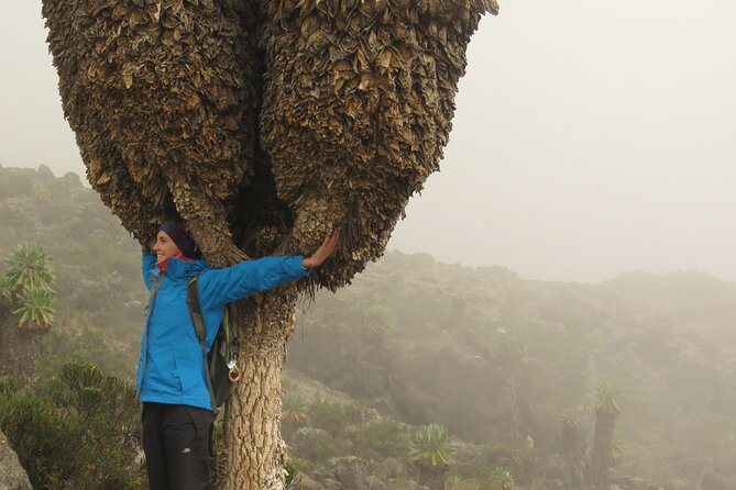 7 Days Machame Route Kilimanjaro Climb Group Joining - Booking and Pricing Details