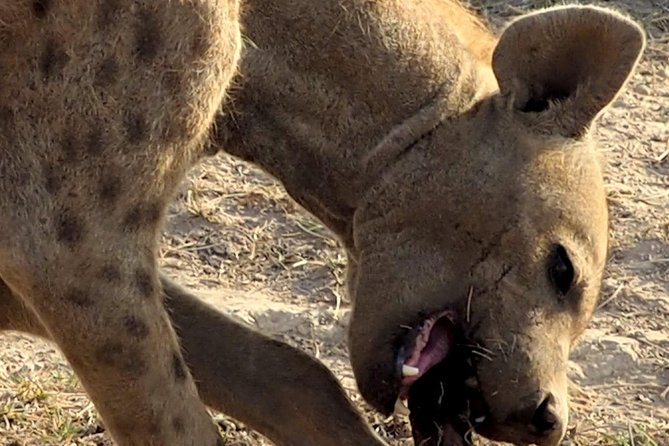 7 Days Masai Mara / Lake Nakuru / Lake Naivasha / Amboseli - Booking Information