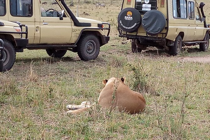 7-Days Private Jeep Safari Tour in 5 Star Luxury Lodge From Nairobi - Lake Nakuru National Park