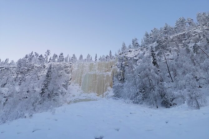 7 Days Winter Lapland Nature Experience - Meals and Dining